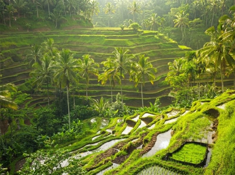 5 day Bali itinerary