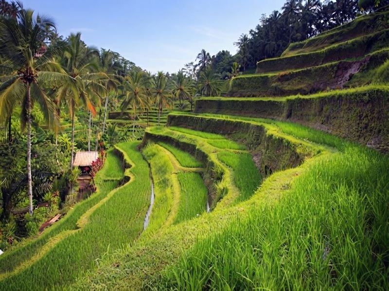 7 day Bali itinerary