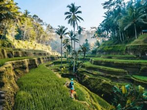14 day Bali itinerary