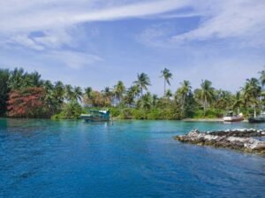 Menjangan Island tour package