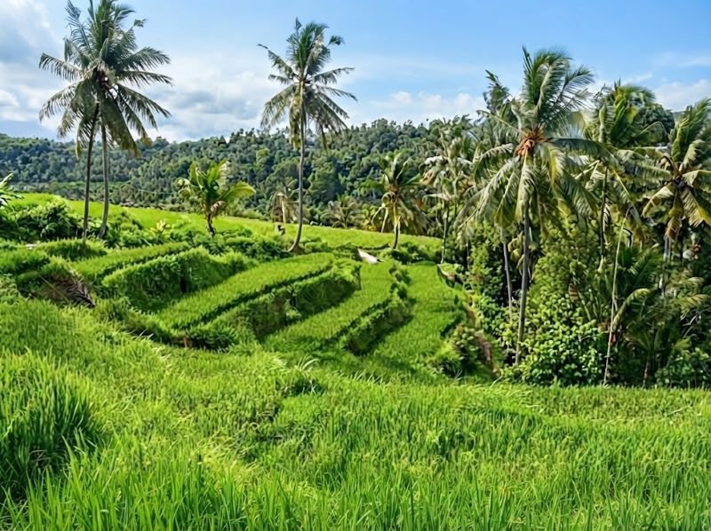 Munduk itinerary
