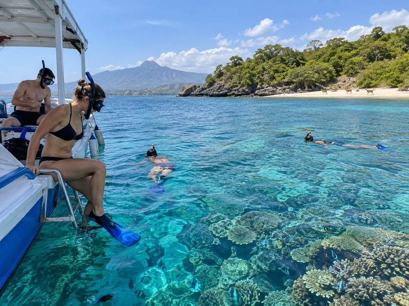 Menjangan Island snorkeling trip from Pemuteran Bali