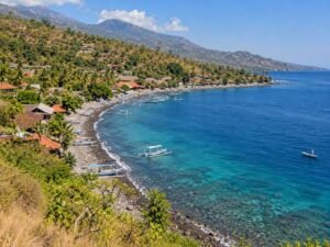 amed tour package
