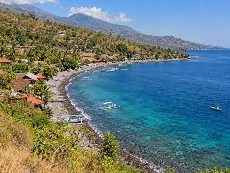 amed tour package