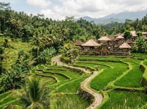Gianyar tour package