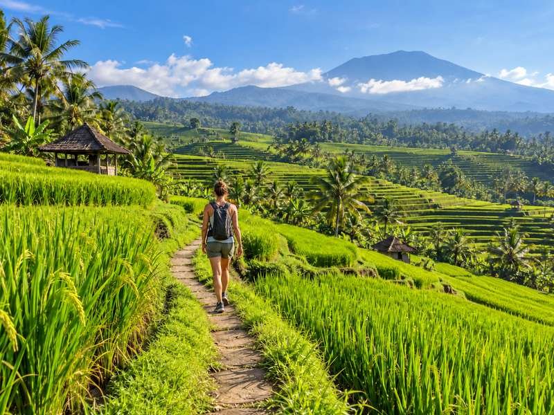 Scenic walking path through the Jatiluwih rice fields in Tabanan Bali